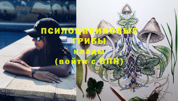 прущий лед Алзамай