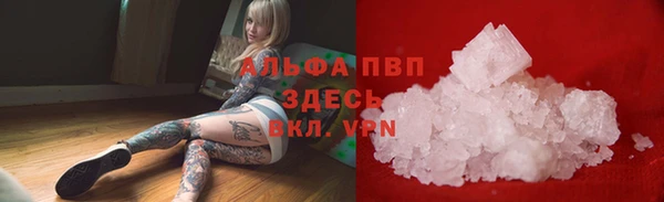 прущий лед Алзамай