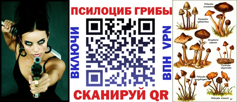 что такое наркотик  ссылка на мегу ССЫЛКА  Галлюциногенные грибы Magic Shrooms  Нижнеудинск 